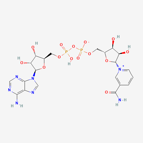 Molecular structure of NAD+