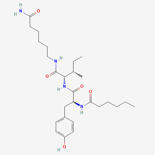 Molecular structure of Dihexa