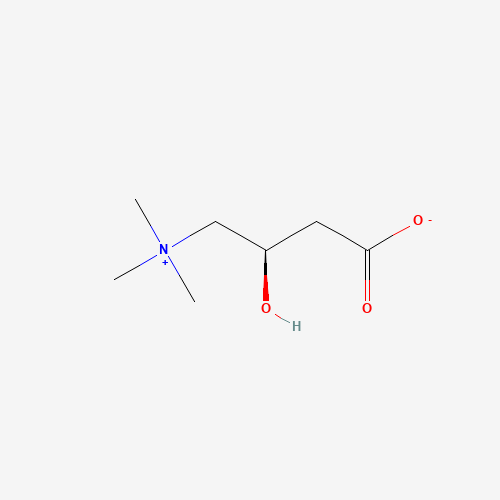 Molecular structure of L-Carnitine
